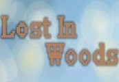 Lost in Woods 2 Steam CD Key [USD 0.96]