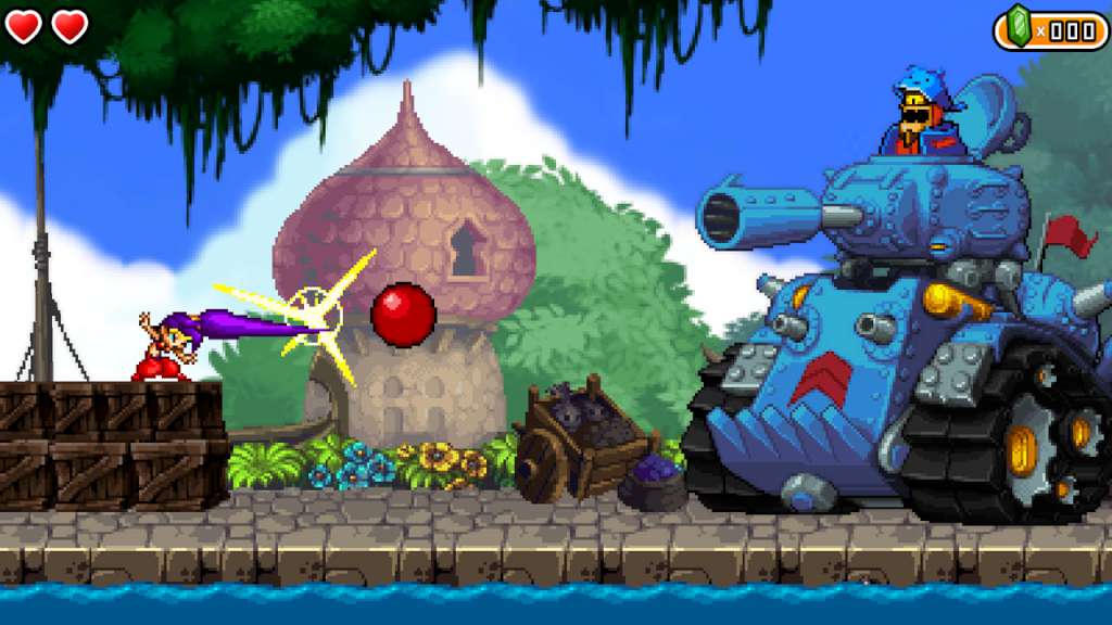 Shantae and the Pirate's Curse US Wii U CD Key [USD 789.84]