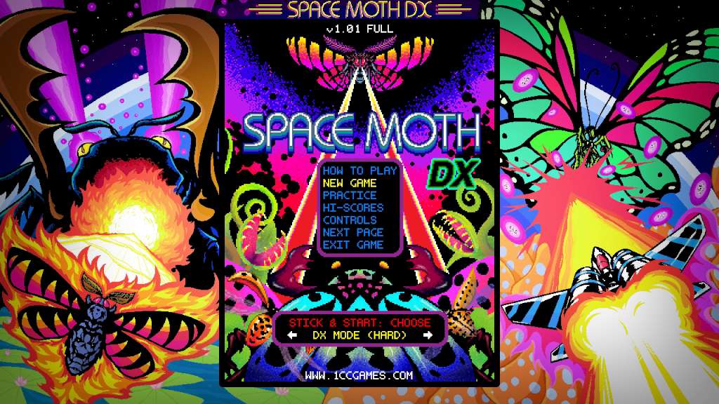 Space Moth DX Steam CD Key [USD 3.94]