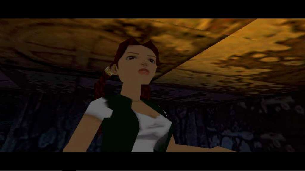 Tomb Raider V: Chronicles Steam Gift [USD 56.49]