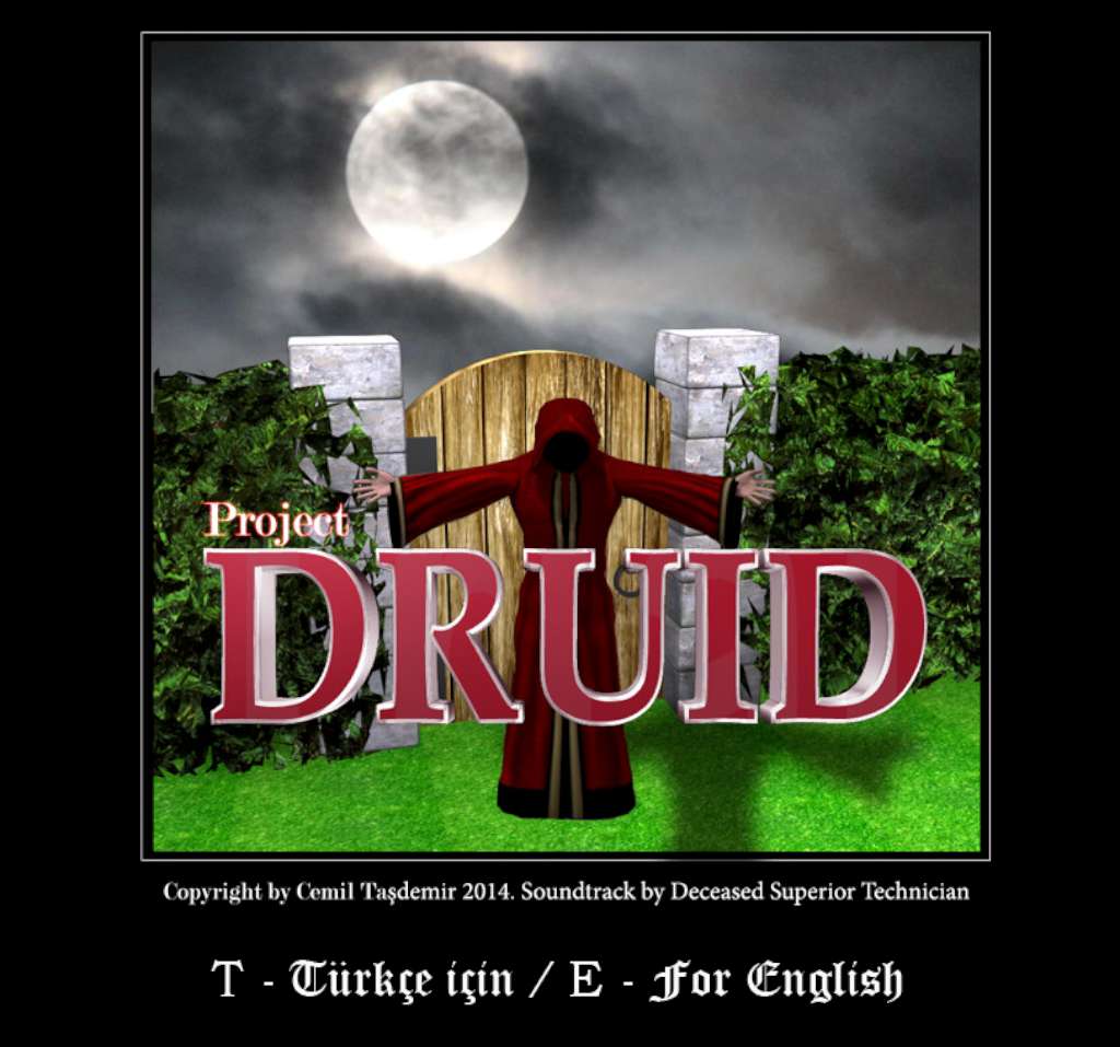 Project Druid - 2D Labyrinth Explorer- Steam CD Key [USD 0.54]
