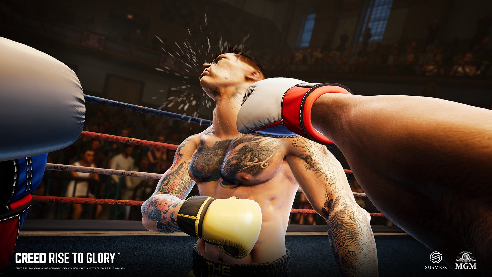Creed: Rise to Glory Steam CD Key [USD 10.71]