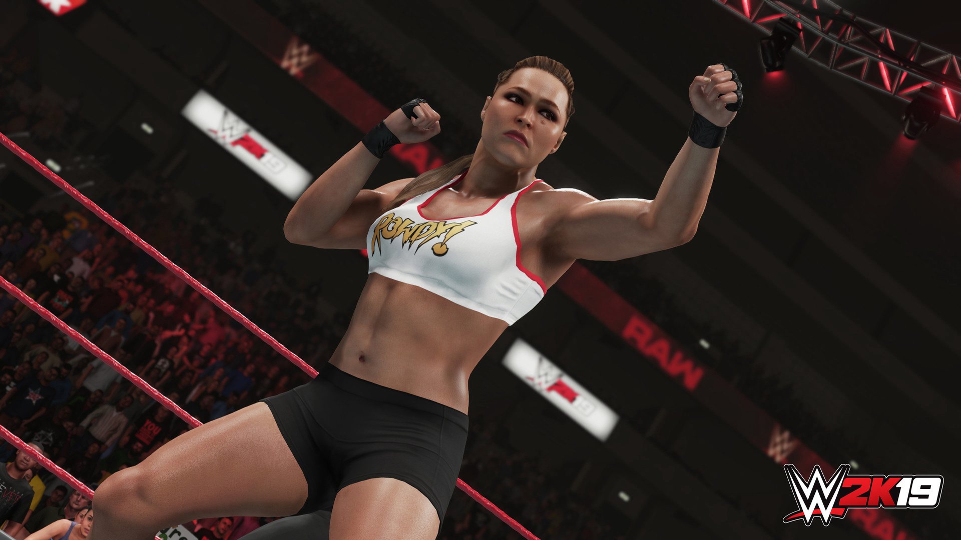 WWE 2K19 PlayStation 4 Account pixelpuffin.net Activation Link [USD 15.81]