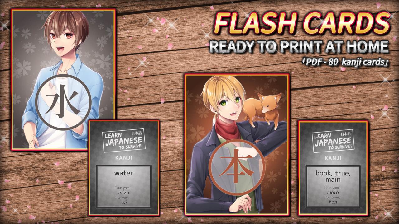 Learn Japanese To Survive! Kanji Combat - Flash Cards DLC Steam CD Key [USD 0.95]