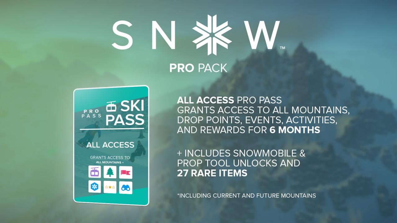 SNOW - Pro Pack DLC EU Steam CD Key [USD 0.53]