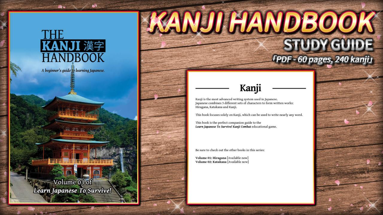 Learn Japanese To Survive! Kanji Combat - Study Guide DLC Steam CD Key [USD 1.76]
