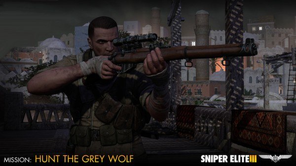 Sniper Elite III - Target Hitler: Hunt the Grey Wolf DLC Steam CD Key [USD 2.37]