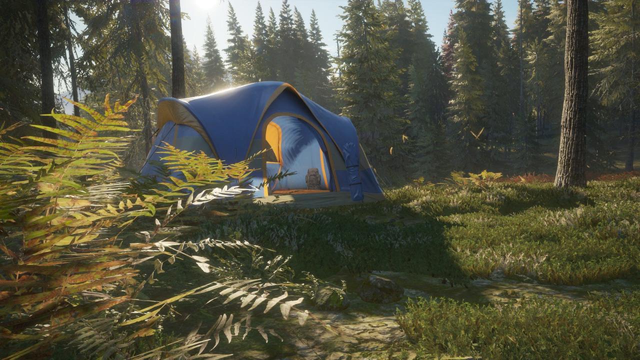 theHunter: Call of the Wild - Tents & Ground Blinds DLC Steam CD Key [USD 1.6]