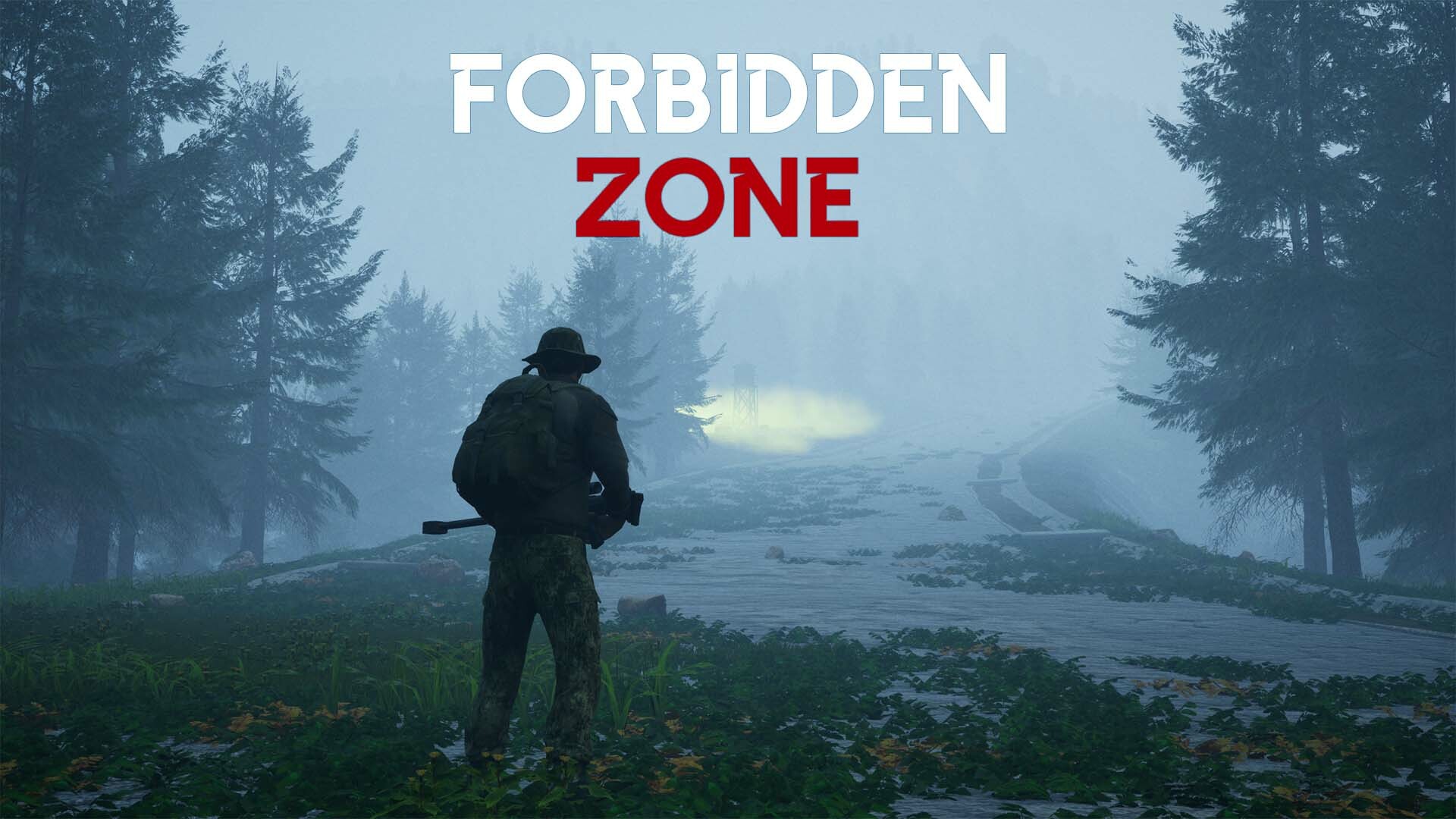 Forbidden zone Steam CD Key [USD 2.44]