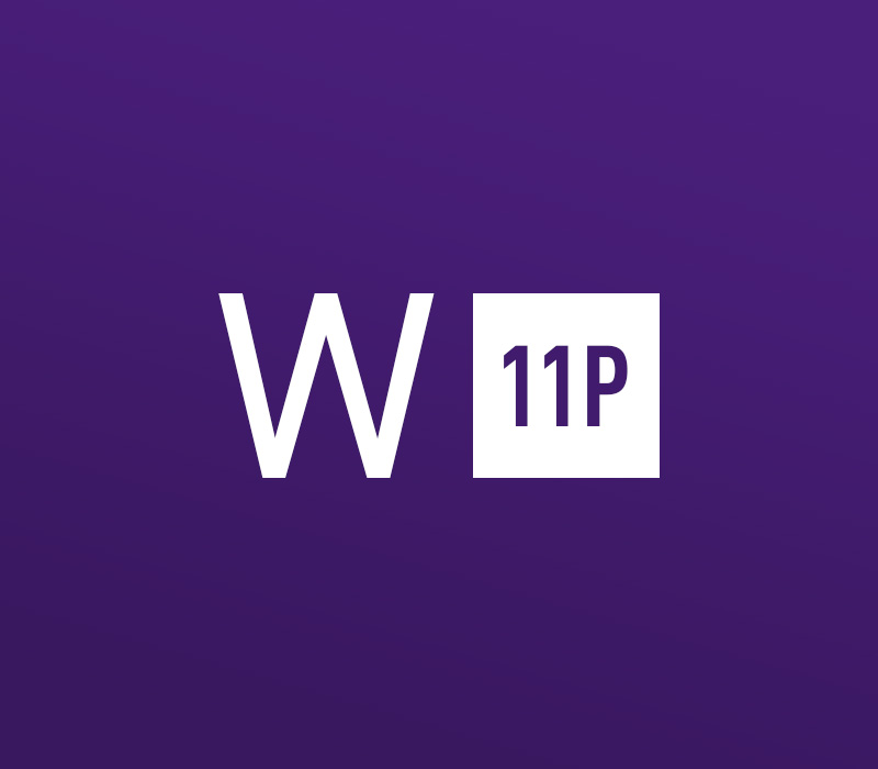 Windows 11 Professional OEM Key - API [USD 20.89]