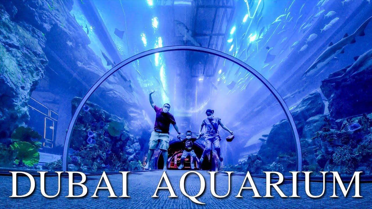 Dubai Aquarium & Underwater Zoo 50 AED Gift Card AE [USD 16.02]