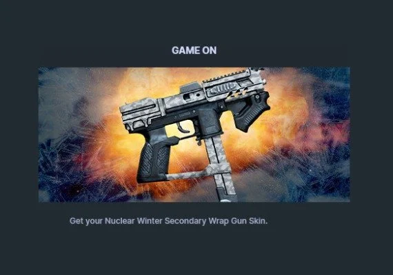 Rogue Company - Nuclear Winter Secondary Wrap Gun Skin DLC CD Key [USD 0.32]