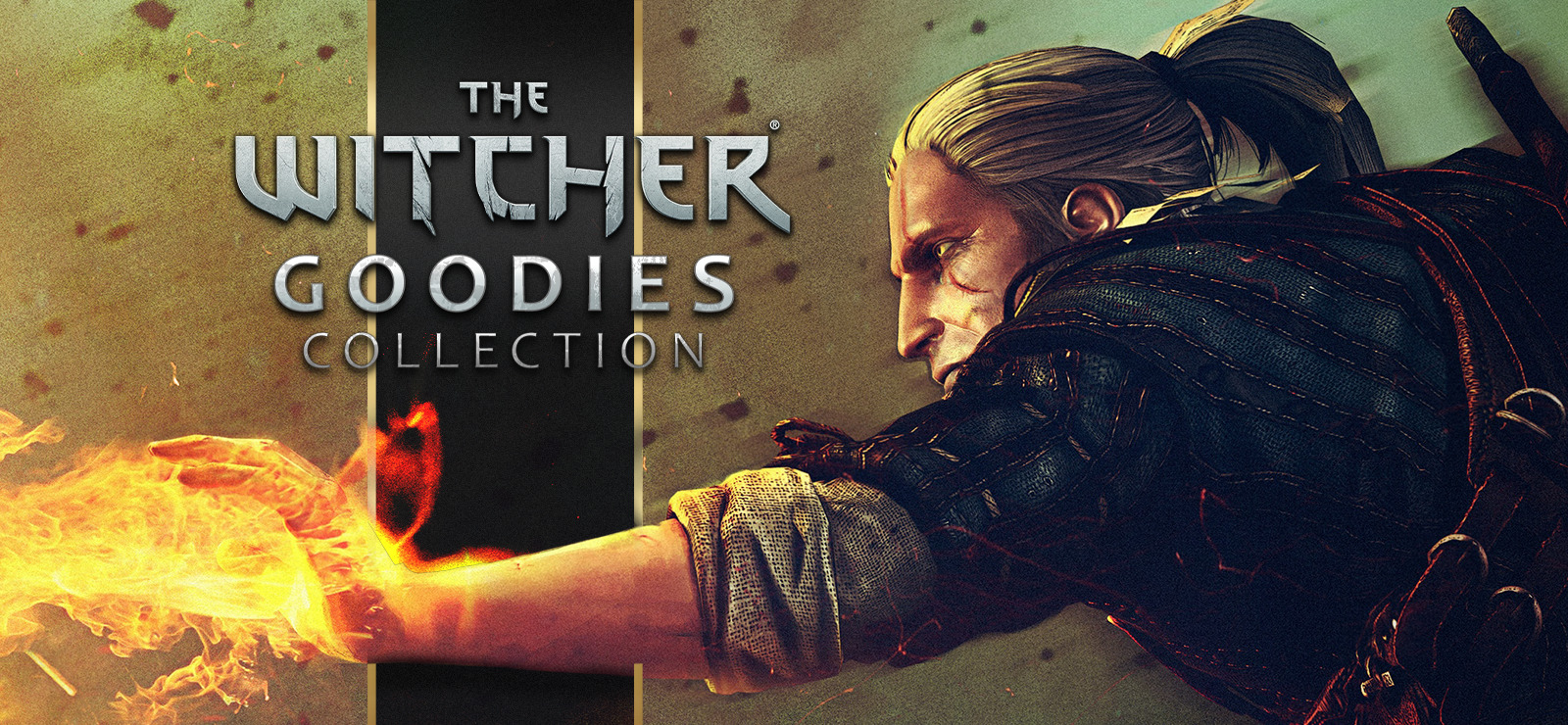 The Witcher - Goodies Collection GOG CD Key [USD 2.54]