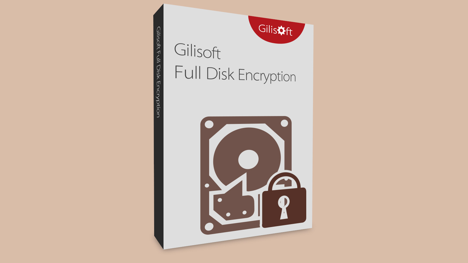 Gilisoft Full Disk Encryption CD Key [USD 19.72]